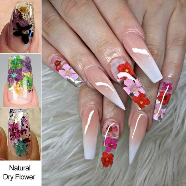 dried flowers nail art kit dry mini real natural flowers nail art supplies 3d applique nail decoration sticker for tips manicure decor, Black
dried flowers nail art kit dry mini real natural flowers nail art supplies 3d applique nail decoration sticker for tips manicure decor, Black