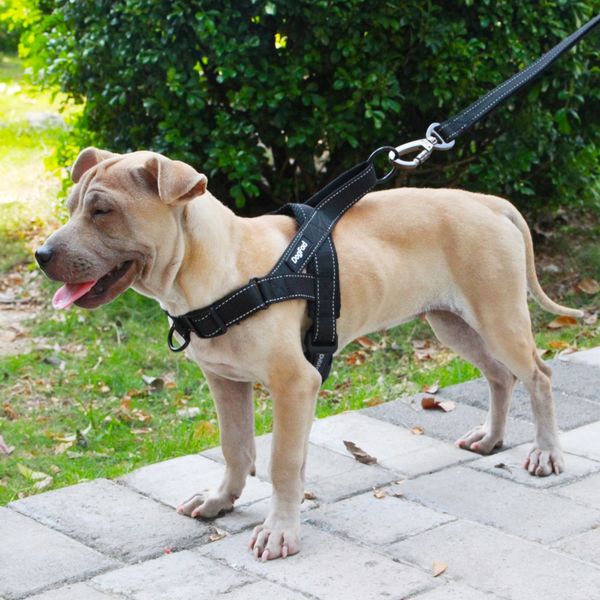 dog harness easy on and off adjustable medium large dogs,reflective no pull training vest for pet dogs walking harness
dog harness easy on and off adjustable medium large dogs,reflective no pull training vest for pet dogs walking harness