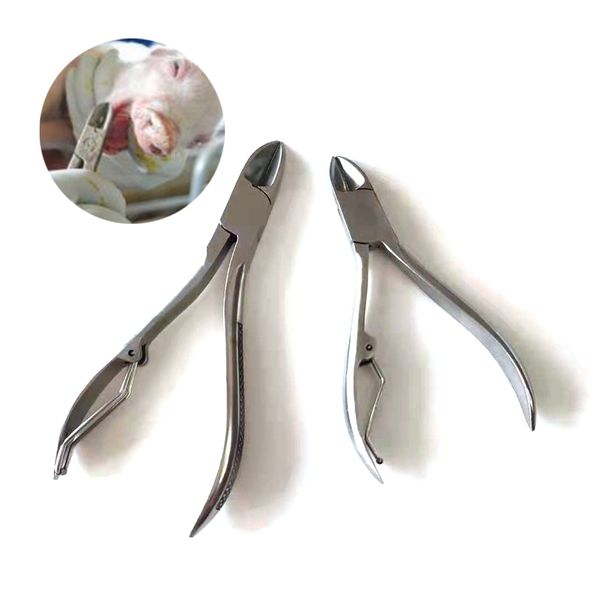 1pcs piglet teeth tooth cutter stainless steel cutting device clamp plier curved tip piggery farming veterinary equipment
1pcs piglet teeth tooth cutter stainless steel cutting device clamp plier curved tip piggery farming veterinary equipment