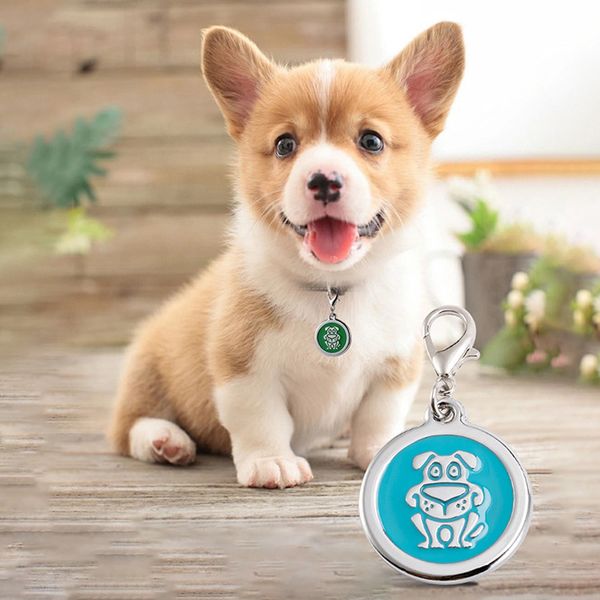 puppy kitten pet id tag custom customized dog cat name/phone collar tag pendant accessories
puppy kitten pet id tag custom customized dog cat name/phone collar tag pendant accessories