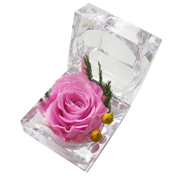 день eternal rose ring box девушки подарков романтический вечная жизнь цветок день матери присутствует валентина подарок
день eternal rose ring box девушки подарков романтический вечная жизнь цветок день матери присутствует валентина подарок