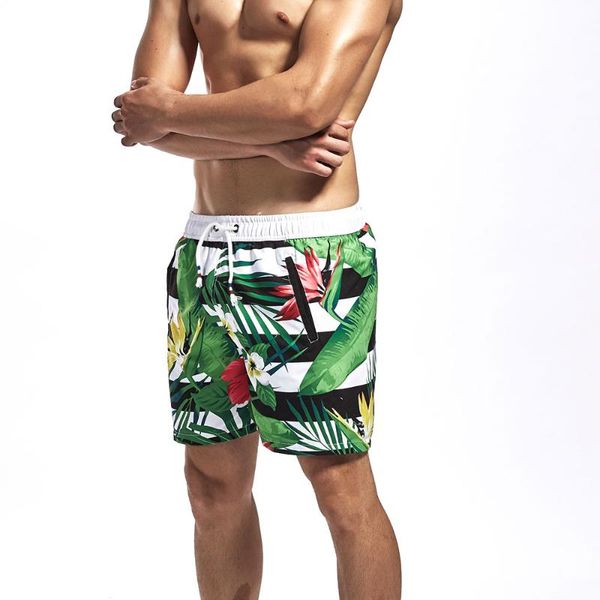 2019brand человека серфинг пляж карман плавать шорты спорт бег короткие штаны gym плюс размер купальники мужчины surf board summer swimsuit
2019brand человека серфинг пляж карман плавать шорты спорт бег короткие штаны gym плюс размер купальники мужчины surf board summer swimsuit