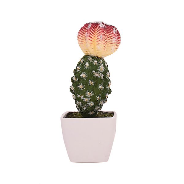 ishowtienda 2019 simulated potted cactus artificial green plant potted flower art home decor sale
ishowtienda 2019 simulated potted cactus artificial green plant potted flower art home decor sale