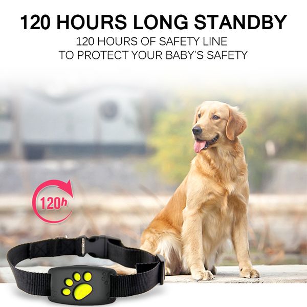pet gps tracker воротник собаки кошки gps tracking anti-потерянное устройство в режиме реального времени слежения локатора pet ошейники с mi
pet gps tracker воротник собаки кошки gps tracking anti-потерянное устройство в режиме реального времени слежения локатора pet ошейники с mi