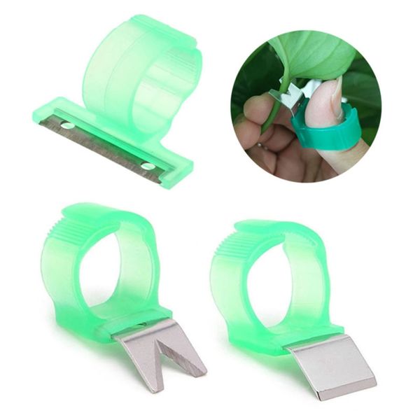 tomato cucumber grape harvesting gardening tools blade cutting scissors fruit picking ring vegetable picking ring
tomato cucumber grape harvesting gardening tools blade cutting scissors fruit picking ring vegetable picking ring