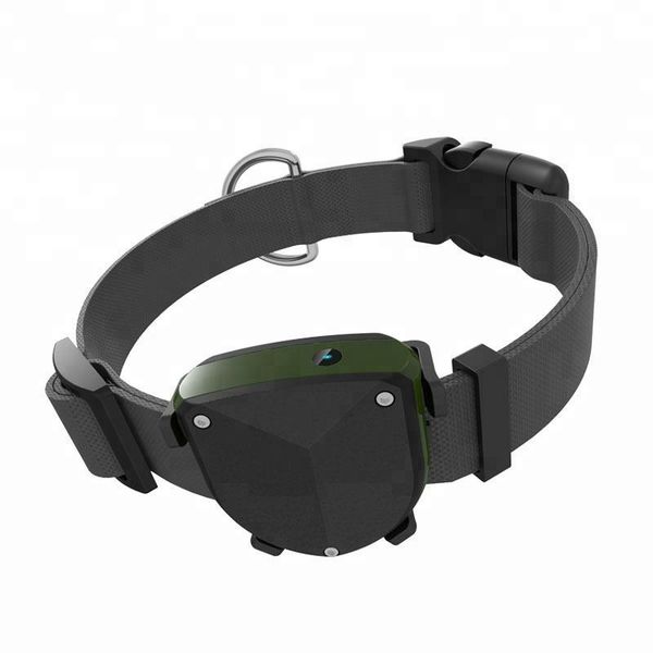 tracking device waterproof pets gps tracker td-05d real-time tracking dods cats gps locator 850/900/1800/1900 mhz
tracking device waterproof pets gps tracker td-05d real-time tracking dods cats gps locator 850/900/1800/1900 mhz