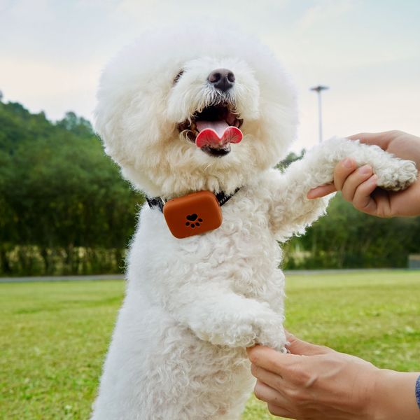 mini pet gps tracker waterproof smart gps tracker with collar for pets cat dog gps+lbs location app led indicator
mini pet gps tracker waterproof smart gps tracker with collar for pets cat dog gps+lbs location app led indicator