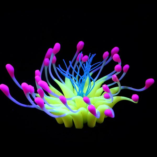 sucker coral aquarium artificial coral silicone plant with sucker ornament water landscape decor fish tank aquarium accessories
sucker coral aquarium artificial coral silicone plant with sucker ornament water landscape decor fish tank aquarium accessories