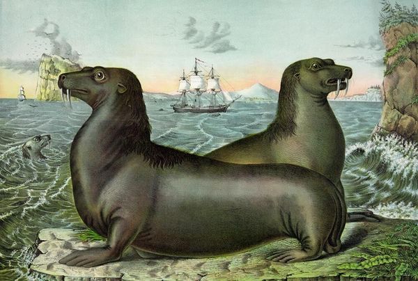 1.5-087 # "animal sea lions" подставил unframed home decor расписанную hd печать картины маслом на холсте wall art pictures 200
1.5-087 # "animal sea lions" подставил unframed home decor расписанную hd печать картины маслом на холсте wall art pictures 200