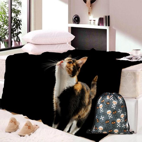 3d cat print blanket on the beds 3d animal unique plush throw blanket sofa cover 150x230 thin quilt dropship
3d cat print blanket on the beds 3d animal unique plush throw blanket sofa cover 150x230 thin quilt dropship