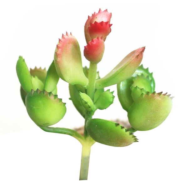 simulation succulent plants decorative life-like plants shape hand crafts artificial landscape accessories -1pc colorful
simulation succulent plants decorative life-like plants shape hand crafts artificial landscape accessories -1pc colorful