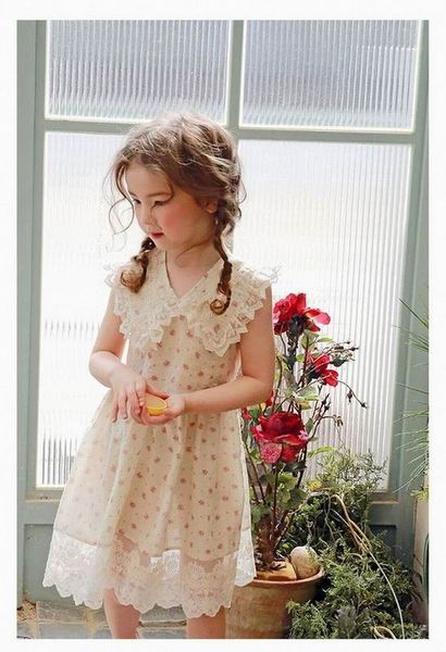 lace lapels girl dress 2020 summer new strawberry printing sleeveless princess dress kids clothes 3-10years e20657, Red;yellow
lace lapels girl dress 2020 summer new strawberry printing sleeveless princess dress kids clothes 3-10years e20657, Red;yellow