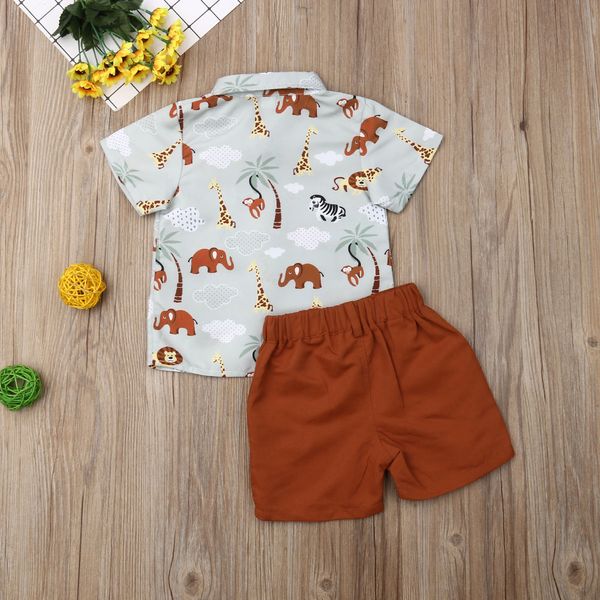 pudcoco summer infant kids cotton baby boy clothing sets formal birthday party clothes suit t-shirt+shorts children's cloth sets, White
pudcoco summer infant kids cotton baby boy clothing sets formal birthday party clothes suit t-shirt+shorts children's cloth sets, White