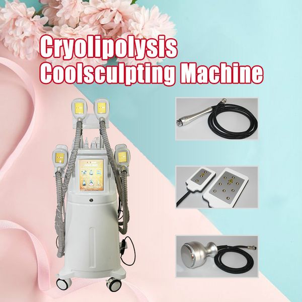 топ китайского cryolipolysis машина high energy льего лазер кавитация рф для похудения эффективные прохладной потери веса тела моделирующего
топ китайского cryolipolysis машина high energy льего лазер кавитация рф для похудения эффективные прохладной потери веса тела моделирующего