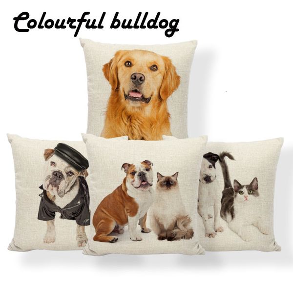 turtle dog cat rabbit cushions boston terrier husky pillow cover red beauty chair nap mat pillow with cover 18 inch cotton blend
turtle dog cat rabbit cushions boston terrier husky pillow cover red beauty chair nap mat pillow with cover 18 inch cotton blend