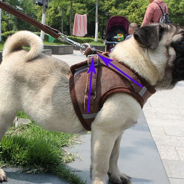 dog cat harness vest reflective walking lead leash for puppy dogs corduroy mesh harness for small medium dog puppy
dog cat harness vest reflective walking lead leash for puppy dogs corduroy mesh harness for small medium dog puppy