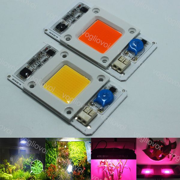 light beads 50w full spectrum 380-840nm 6500k with smart ic ac110/220v lighting accessories for indoor hydroponics plan grow lights eub
light beads 50w full spectrum 380-840nm 6500k with smart ic ac110/220v lighting accessories for indoor hydroponics plan grow lights eub