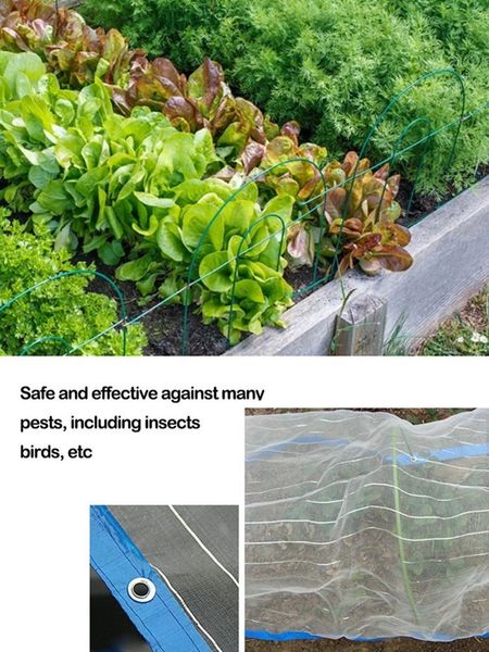 anti-bird shed net 1.5*6m anti bird silver wire edging mosquito orchard planting vegetable garden horticultural other garden supplies
anti-bird shed net 1.5*6m anti bird silver wire edging mosquito orchard planting vegetable garden horticultural other garden supplies