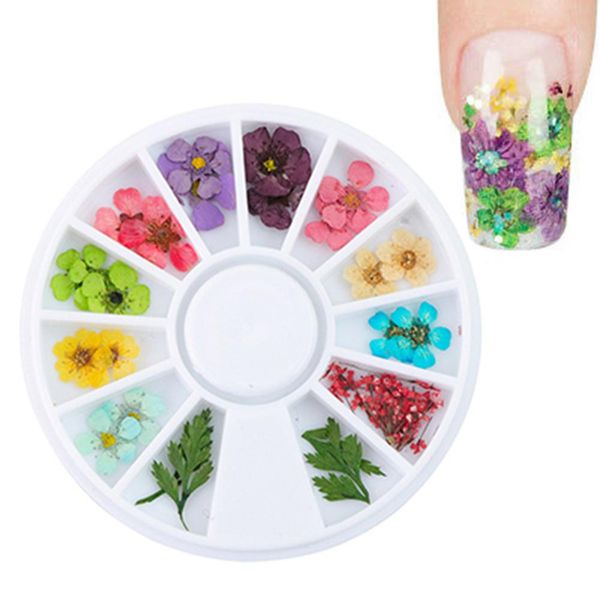40# 12 colors real nail art decoration dried flower 3d manicure polish uv gel floral leaf mixed false tips nail art decor, Silver;gold
40# 12 colors real nail art decoration dried flower 3d manicure polish uv gel floral leaf mixed false tips nail art decor, Silver;gold