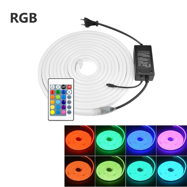 led neon sign light 220v eu adapter neon light signs lamp rgb waterproof led lamp fairy lights xmas lighting
led neon sign light 220v eu adapter neon light signs lamp rgb waterproof led lamp fairy lights xmas lighting