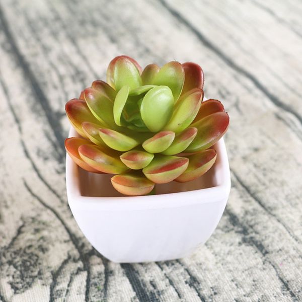 2019 new artificial plants simulation of succulent plants 5 layer encrinite artificial decoration for home desk c30306
2019 new artificial plants simulation of succulent plants 5 layer encrinite artificial decoration for home desk c30306