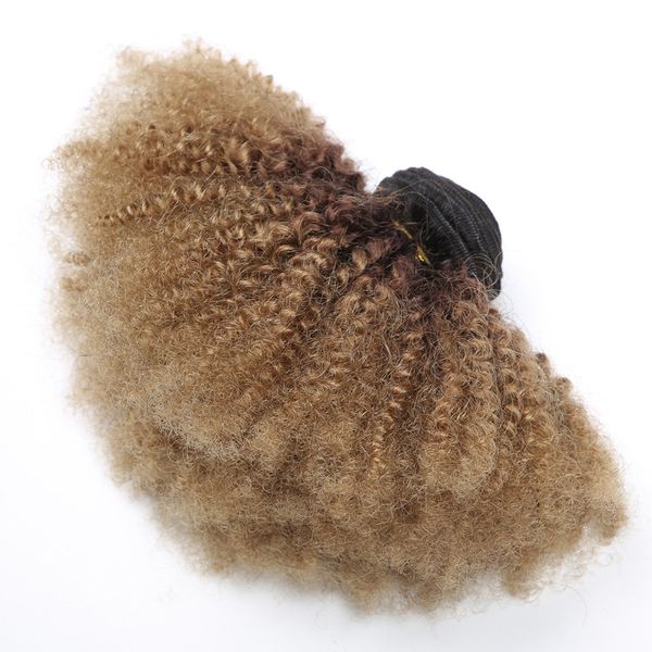 ombre afro kinky curly hair brazilian human hair weaves 3 bundles t1b 4 27 dark root brown honey blonde double weft extensions, Black
ombre afro kinky curly hair brazilian human hair weaves 3 bundles t1b 4 27 dark root brown honey blonde double weft extensions, Black