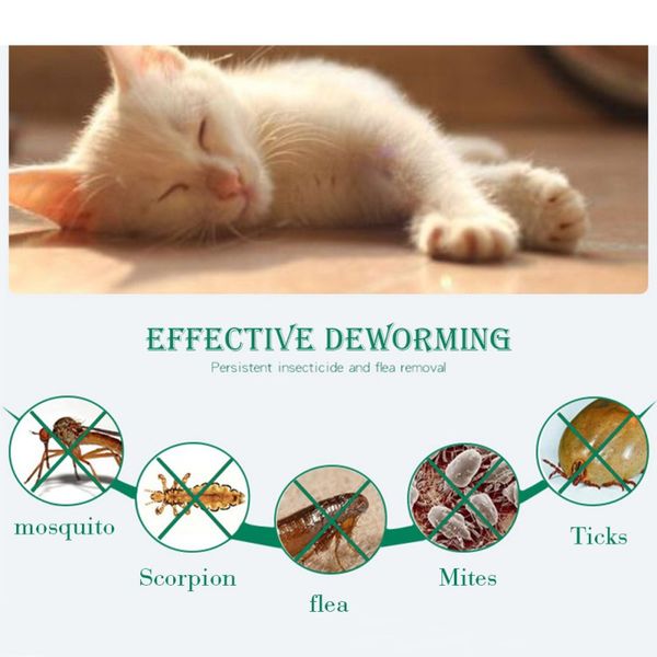 pet natural essential oils flea collar safe pest control lick treatment prevention for cats
pet natural essential oils flea collar safe pest control lick treatment prevention for cats