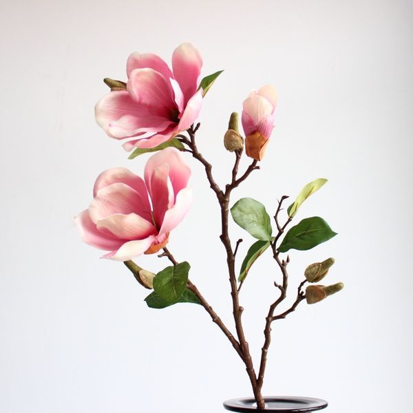 realistic classical magnolia high-grade artificial flowers landing high foreign trade silk flower flowers soft wholesale
realistic classical magnolia high-grade artificial flowers landing high foreign trade silk flower flowers soft wholesale