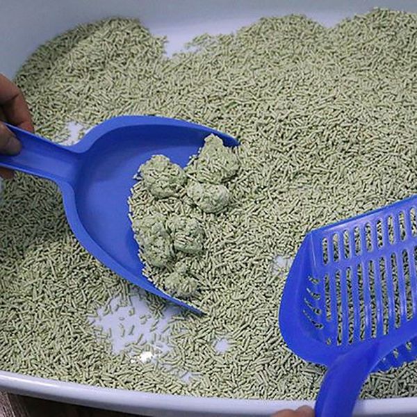 useful 4pcs cat litter shovel pet cleanning tool set plastic scoop cat sand cleaning products toilet for dog food spoons other cat supplies
useful 4pcs cat litter shovel pet cleanning tool set plastic scoop cat sand cleaning products toilet for dog food spoons other cat supplies
