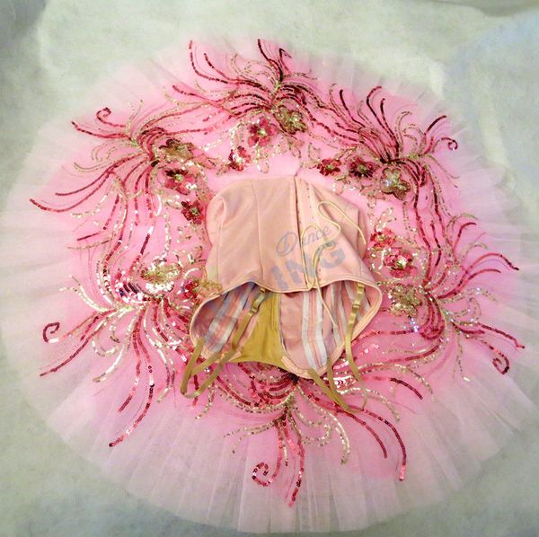 fast shipping purple sleeping beauty professional ballet tutu with velvet nutcracker performance pancake ballet tutu bt9085, Black;brown
fast shipping purple sleeping beauty professional ballet tutu with velvet nutcracker performance pancake ballet tutu bt9085, Black;brown