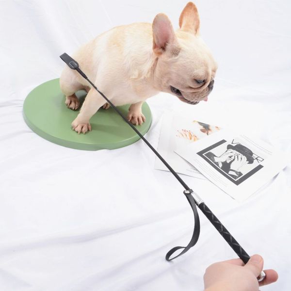 dog training horse whip pet leather whip pointer portable lightweight palm love riding whip interactive training toy
dog training horse whip pet leather whip pointer portable lightweight palm love riding whip interactive training toy