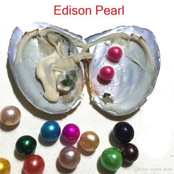 15pcs mix colors near round freshwater edison twins pearl in oyster with individual vacuum package diy surprise gift pearl, White
15pcs mix colors near round freshwater edison twins pearl in oyster with individual vacuum package diy surprise gift pearl, White