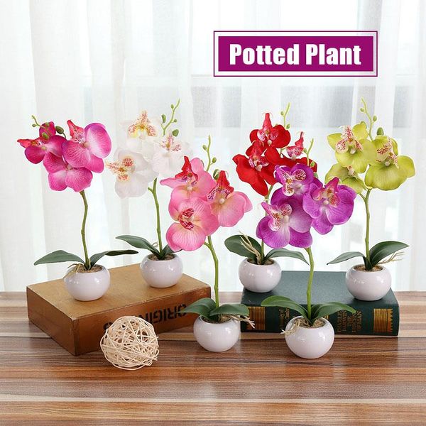 decorative flowers & wreaths artificial flower plastic moth orchid fake plant simulation beautiful gift decoration handmade
decorative flowers & wreaths artificial flower plastic moth orchid fake plant simulation beautiful gift decoration handmade