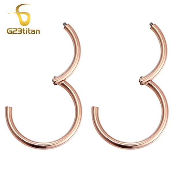 g23titan rose gold color small hoop earrings for women men titanium 6-12mm round hinged segment circle ear piercing jewelry, Golden;silver
g23titan rose gold color small hoop earrings for women men titanium 6-12mm round hinged segment circle ear piercing jewelry, Golden;silver