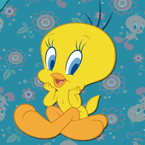 custom design tweety pie flannel throw blanket lightweight cozy bed sofa blankets super soft fabric
custom design tweety pie flannel throw blanket lightweight cozy bed sofa blankets super soft fabric