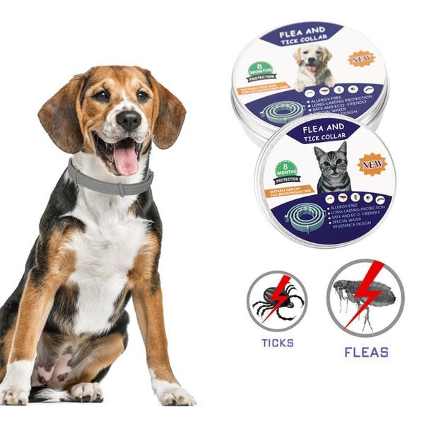 8 month protection flea and tick collar for dog & cats fleas and ticks repellent pet collar adjustable pet dog of fleas
8 month protection flea and tick collar for dog & cats fleas and ticks repellent pet collar adjustable pet dog of fleas