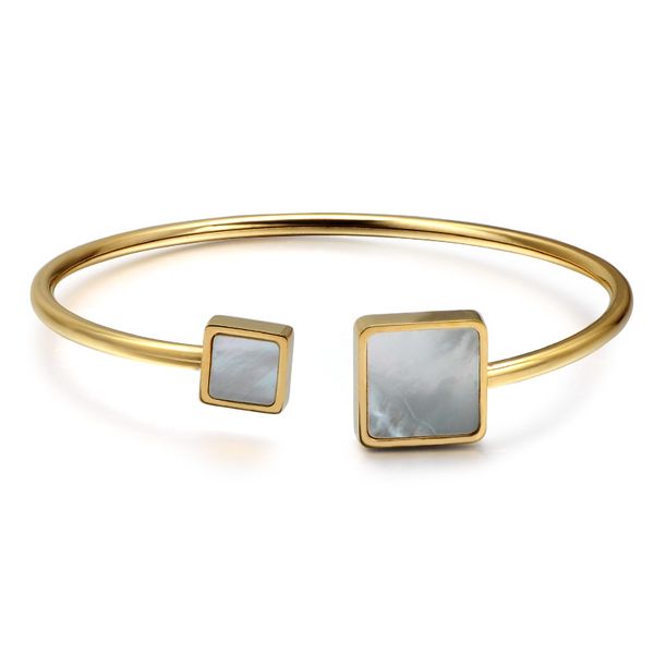 wt-reb011 simple style stainless steel bangle with gold electroplated square shell bangle women fashion shell bracelet jewelry, Black
wt-reb011 simple style stainless steel bangle with gold electroplated square shell bangle women fashion shell bracelet jewelry, Black