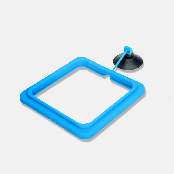 feeding fish aquarium fish tank ring feeder station floating food water plant buoyancy circle 1pcs feeding ring aquarium fish
feeding fish aquarium fish tank ring feeder station floating food water plant buoyancy circle 1pcs feeding ring aquarium fish