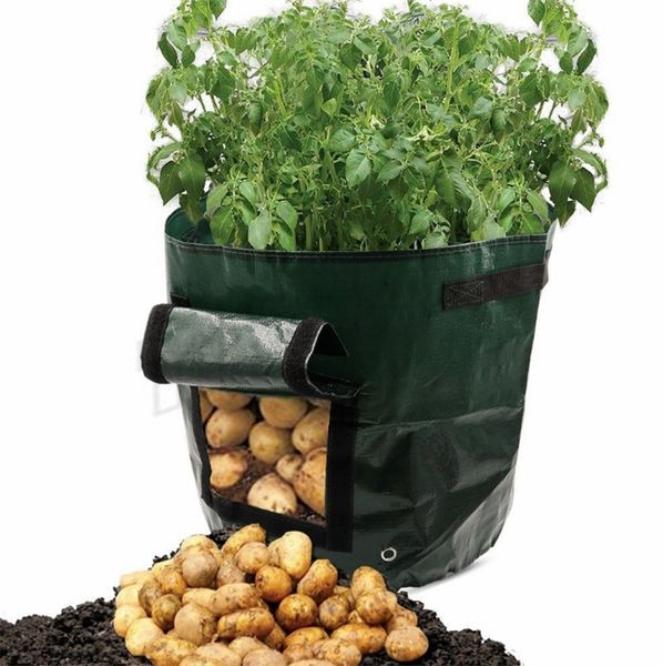 35*34cm movable grow planter bag potato cultivation planting garden strawberry pots planters outdoor planting grow bag planters i492
35*34cm movable grow planter bag potato cultivation planting garden strawberry pots planters outdoor planting grow bag planters i492