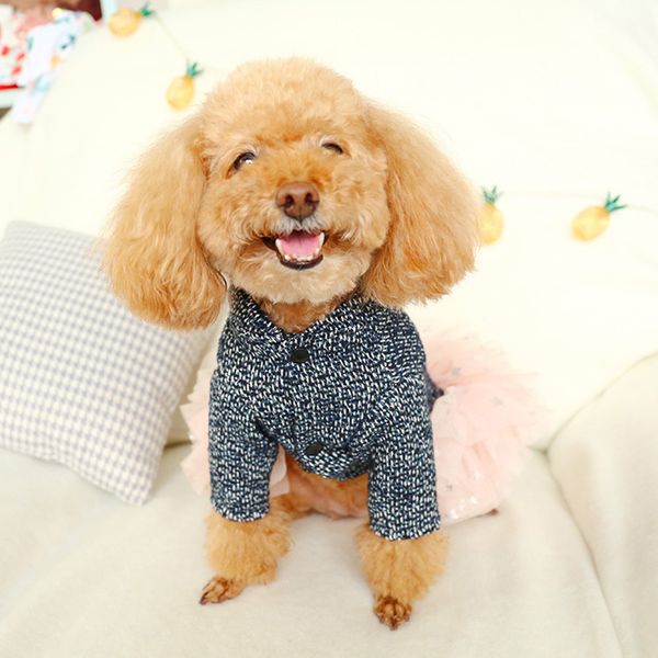 новая мода pet вишневой юбка осень и зима комфортная cat собаки одежда
новая мода pet вишневой юбка осень и зима комфортная cat собаки одежда