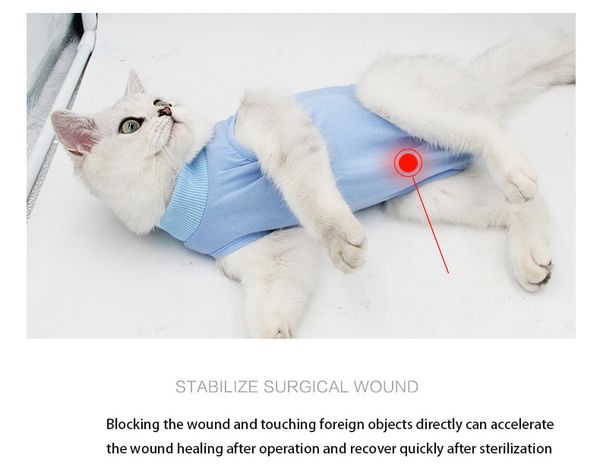 pet winter warm clothes cat operation clothes mother cat sterilization weaning elastic posrative
pet winter warm clothes cat operation clothes mother cat sterilization weaning elastic posrative