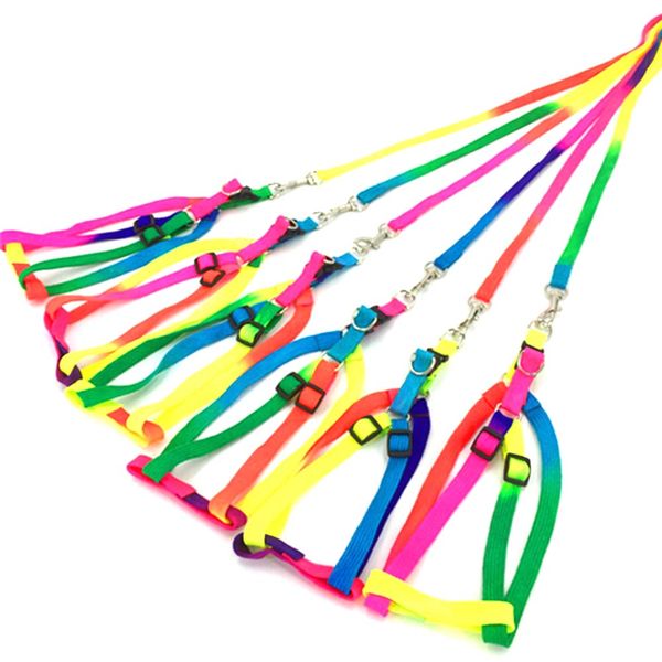 new dogs collars strengthen colorful small-sized pets puppy dog cat lead harness leash traction nylon rope color random
new dogs collars strengthen colorful small-sized pets puppy dog cat lead harness leash traction nylon rope color random