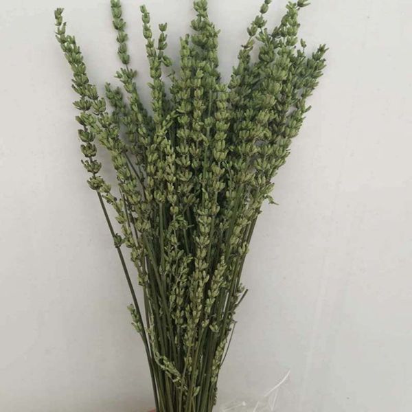 80/g preserved flowers, lavender, eternal flowers, gifts dried bouquet, gifts wholesale, flower arrangement materials
80/g preserved flowers, lavender, eternal flowers, gifts dried bouquet, gifts wholesale, flower arrangement materials