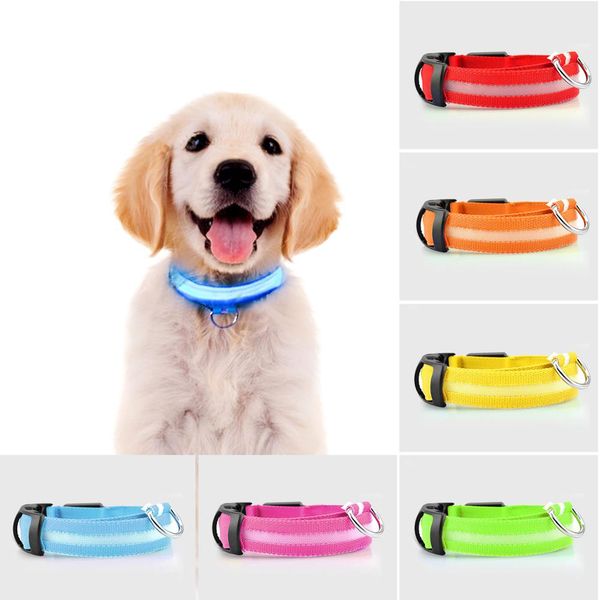 nylon pet dog collar led dog leash light luminous fluorescent collars for walking the at night safety flashing glow lighting
nylon pet dog collar led dog leash light luminous fluorescent collars for walking the at night safety flashing glow lighting