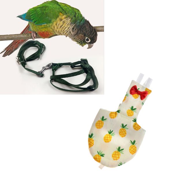 bird parrot traction strap outdoor rope pet leash bird parrot diaper l
bird parrot traction strap outdoor rope pet leash bird parrot diaper l