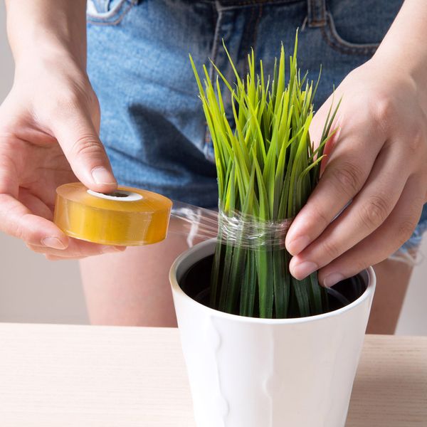 1 roll multifunction self-adhesive transparent stretch film grafting fruit tree gardening bind belt garden tools accessories
1 roll multifunction self-adhesive transparent stretch film grafting fruit tree gardening bind belt garden tools accessories