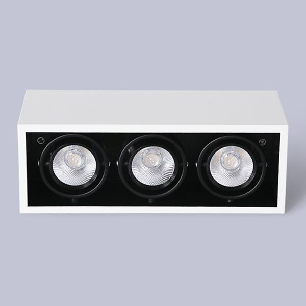 project housing decoration white shell double three heads down lamp 20w 30w anti-dazzle dimmable cob led spot grille lights
project housing decoration white shell double three heads down lamp 20w 30w anti-dazzle dimmable cob led spot grille lights