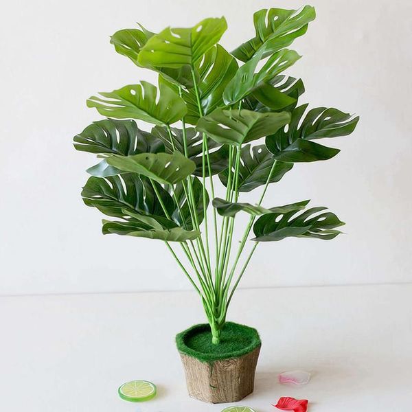 green artificial tropical tree monstera leaves home garden office bedroom decoration pgraphy background
green artificial tropical tree monstera leaves home garden office bedroom decoration pgraphy background