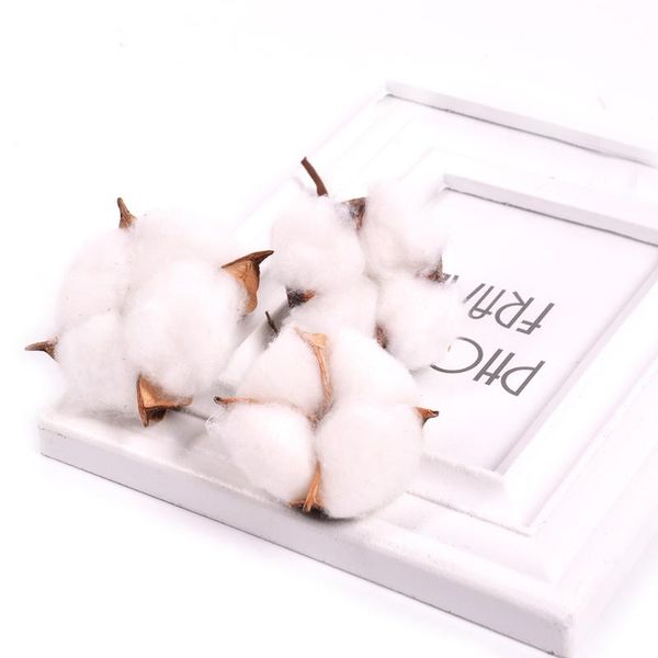 decorative flowers & wreaths 5pcs artificial flower kapok cotton head for wedding christmas home decoration diy craft wreath scrapbook natur
decorative flowers & wreaths 5pcs artificial flower kapok cotton head for wedding christmas home decoration diy craft wreath scrapbook natur