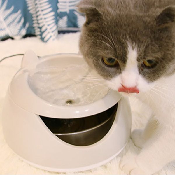 cat's automatic luminous pet fountain fountain dog usb electric water dispenser cat's drinking bowl beige
cat's automatic luminous pet fountain fountain dog usb electric water dispenser cat's drinking bowl beige